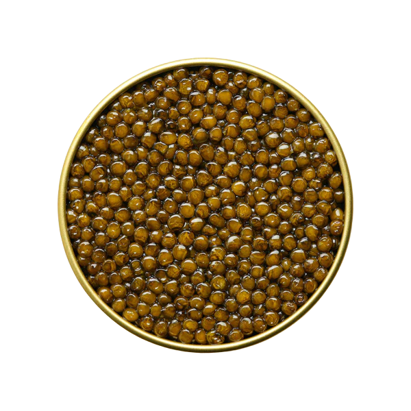 Caviar Benoît Osietra Imperial