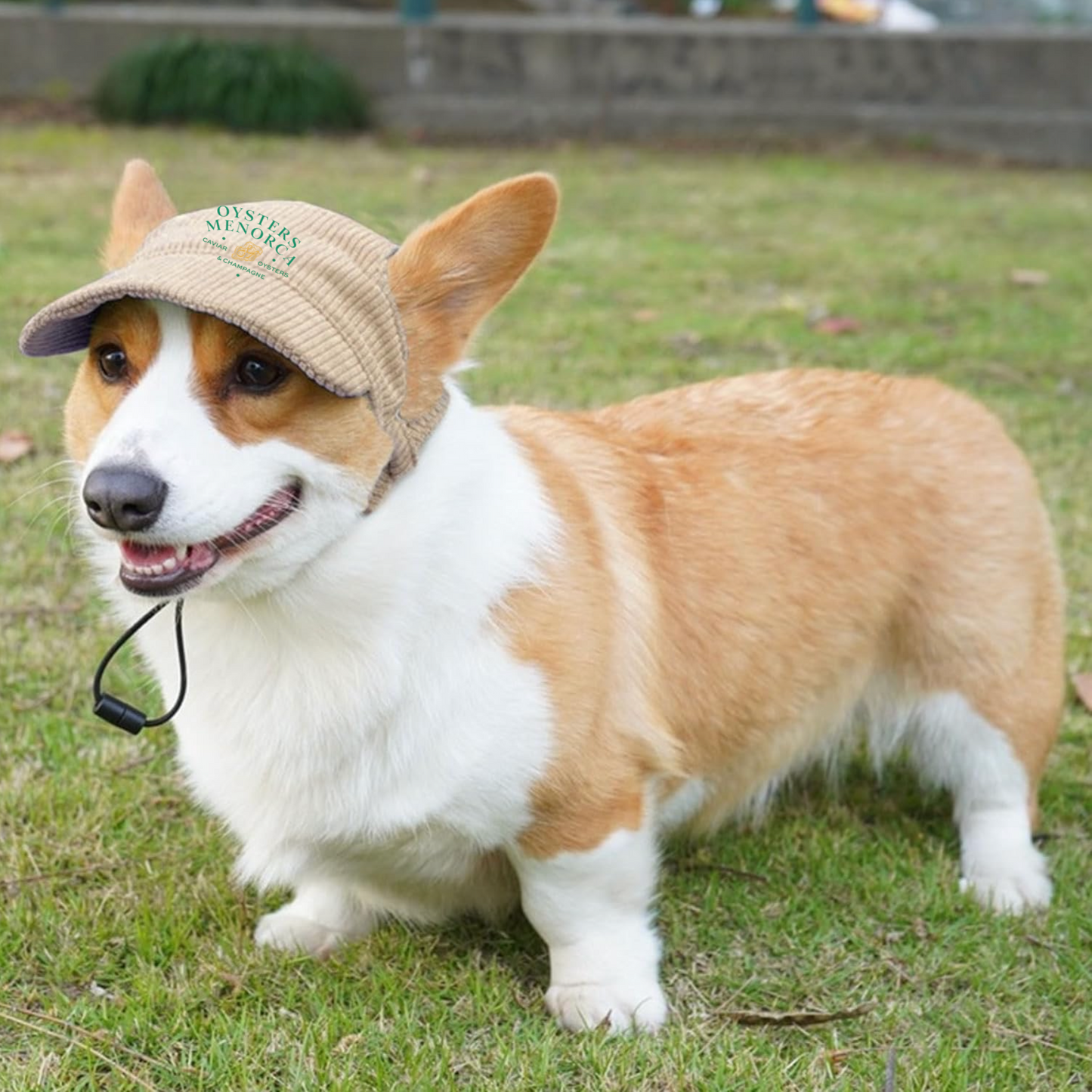 Dog Corduroy Cap